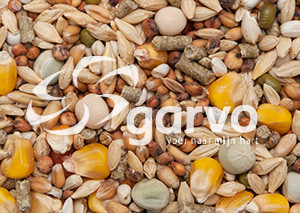 Garvo G-Spirits Rust <br>20 kg