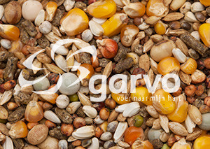 Garvo G-Spirits Sprint 20 kg