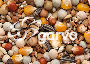 Garvo Prestige Kweek 20 kg