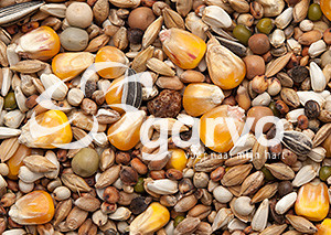 Garvo Prestige Junior Vlieg 20 kg