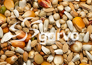 Garvo Prestige Light PL 20 kg