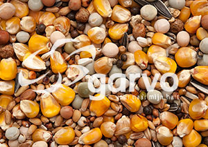 Garvo Kweek/Vlieg <br>20 kg