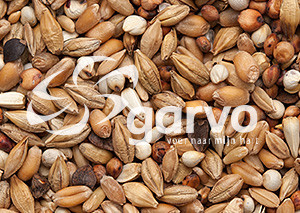 Garvo Zuivering 20 kg