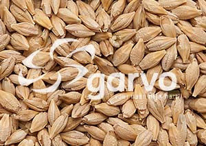 Garvo Duivengerst Blank & Dik 20 kg