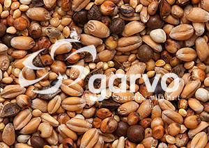 Garvo Tortelduivenvoer 20 kg