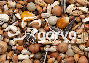 Garvo Middelgrote Rassen & Kleurduiven 20 kg