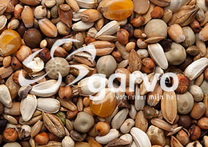 Garvo Kortsnaveligen & Kleine Rassen 20 kg