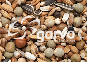 Garvo Kroppervoer zonder Mais & Milo <br>20 kg