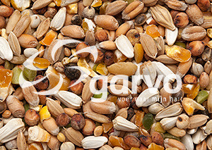 Garvo Wilde Duivenvoer 20 kg