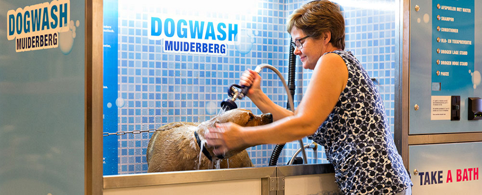 Makkelijk je hond wassen én drogen in onze Dogwash
