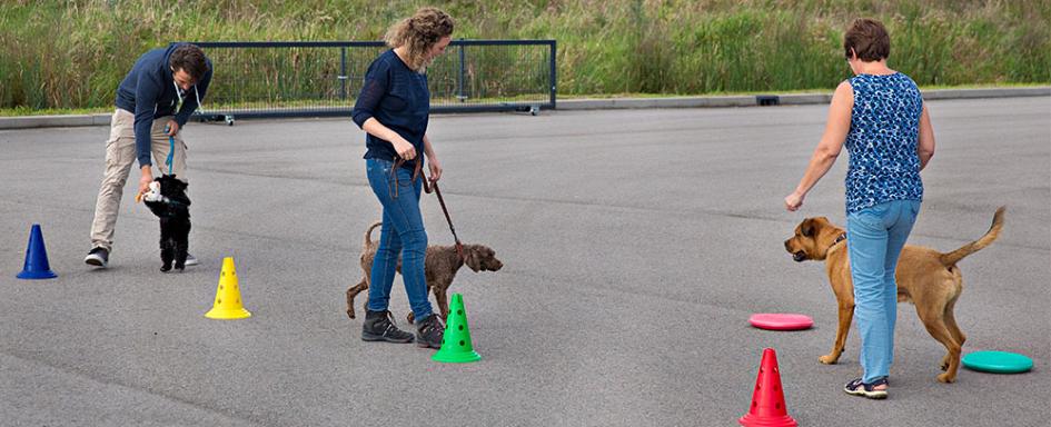 Pets Academy hondenschool