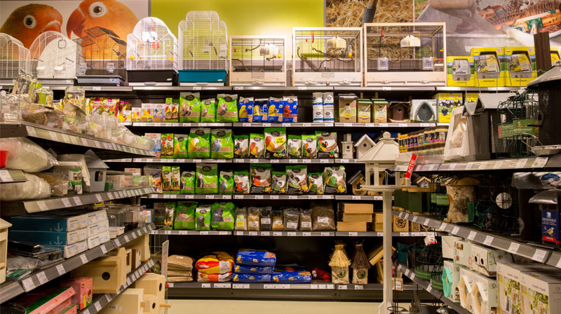 Vogelafdeling