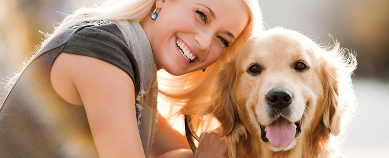 Pets Academy gehoorzame hond 2