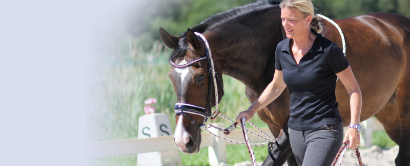 Clinic ConCord Leader en Longe 2018