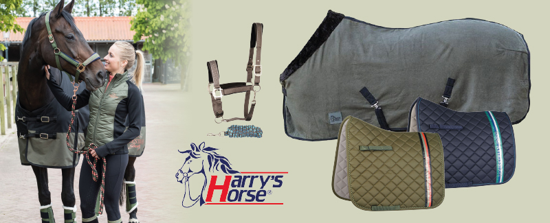 Harry's Horse Weken 2020